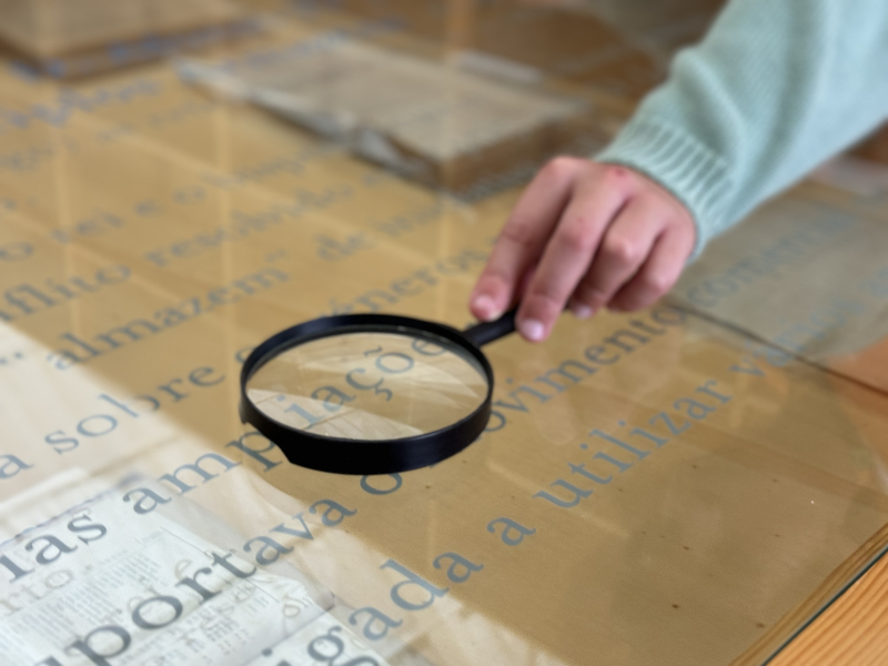 Caça ao Tesouro: Segredos da Alfândega