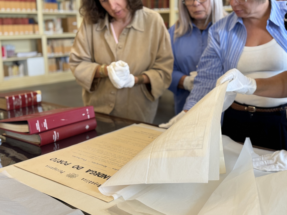 Teias do Saber e do Fazer